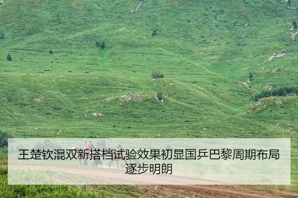 王楚钦混双新搭档试验效果初显国乒巴黎周期布局逐步明朗